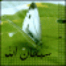 الطفلة المزيونة