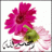 الحنوووونه